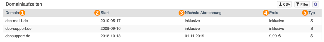 Domainlaufzeit2.png