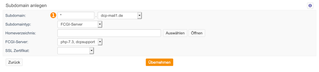 Domain wildcard.png