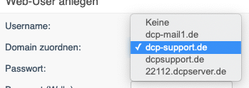 Domain zuordnen web user.png