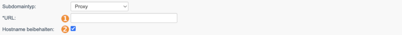 Datei:Proxysubdomain.png